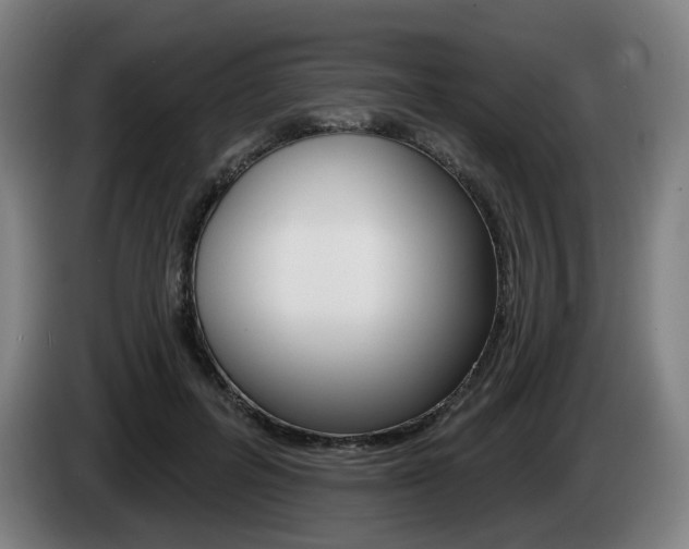 X0000085220600200703090829
