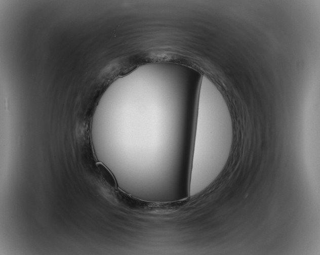 X0000085220601200703090829