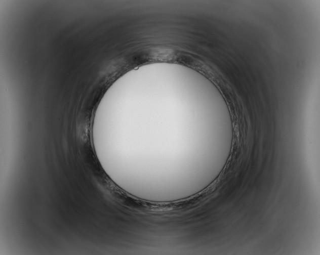 X0000085220602200703090829