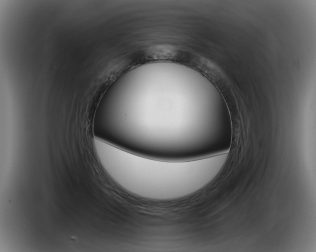 X0000085220604200703090829