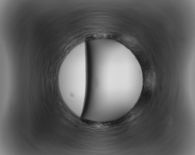 X0000085220616200703090829