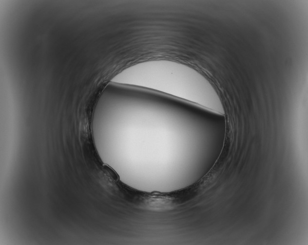 X0000085220617200703090829