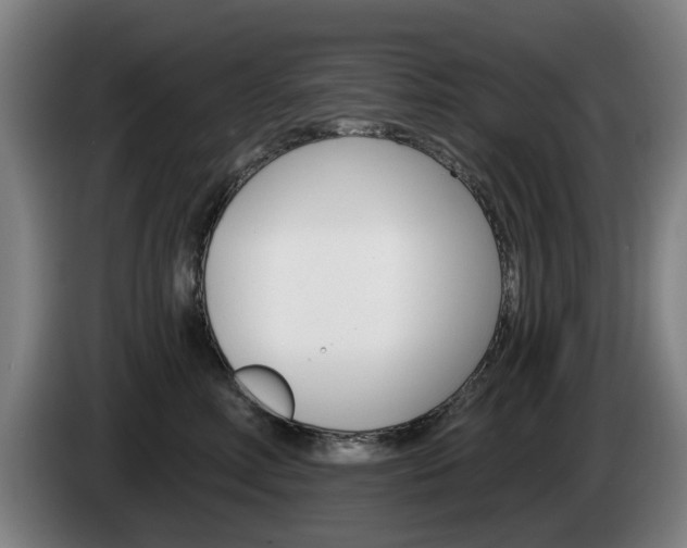 X0000085220618200703090829