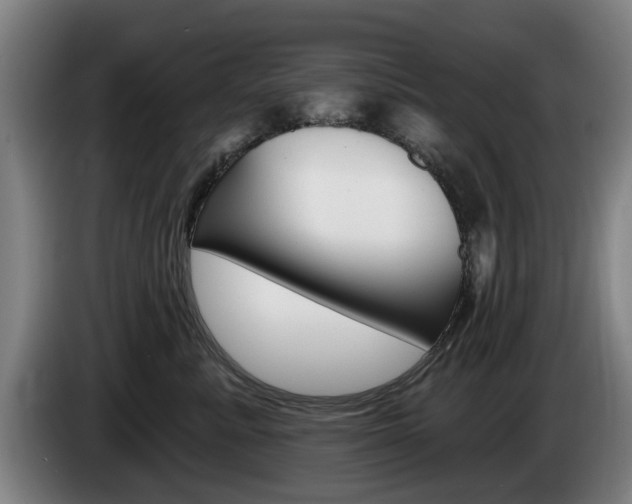 X0000085220619200703090829