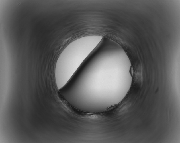 X0000085220620200703090829