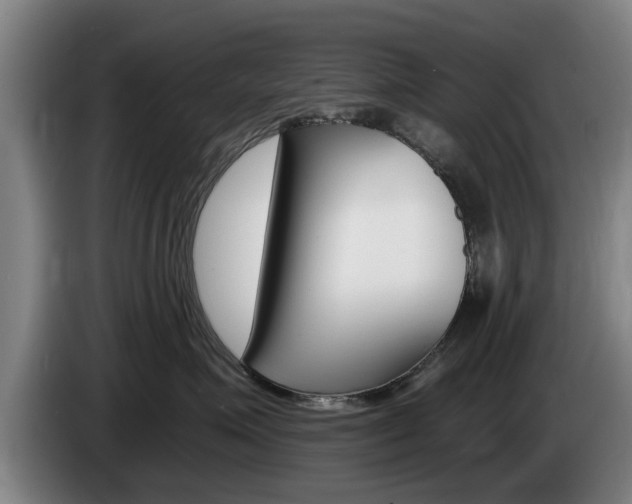 X0000085220623200703090829