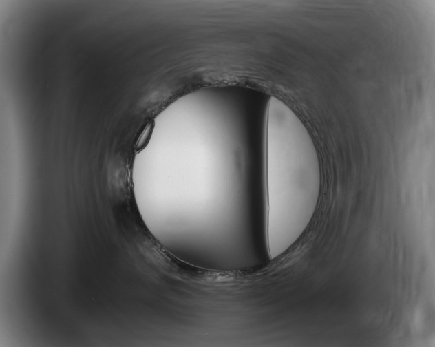 X0000085220624200703090829