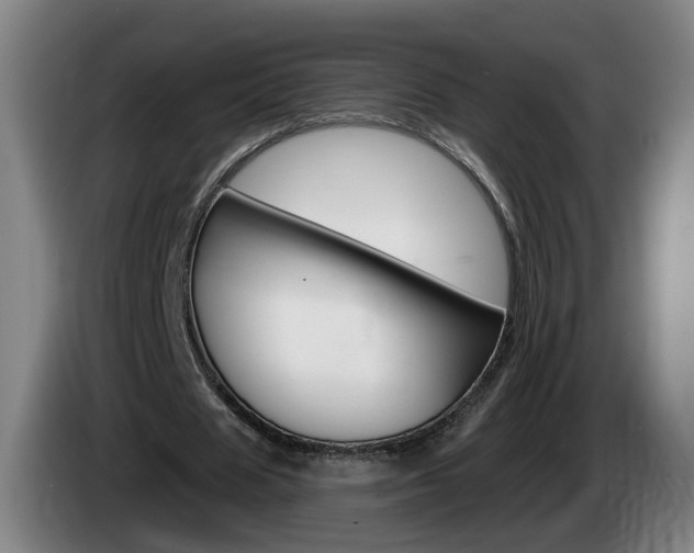 X0000085220625200703090828