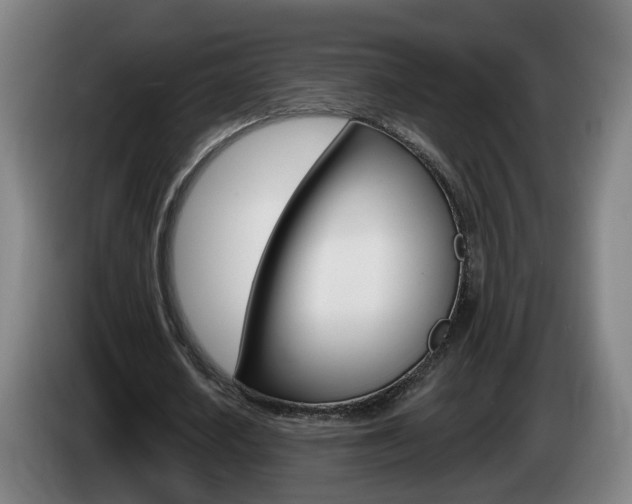 X0000085220626200703090828