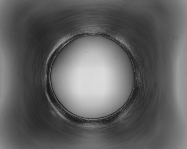 X0000085220630200703090828
