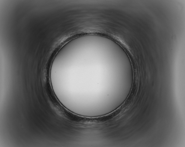 X0000085220631200703090829