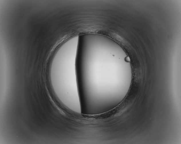 X0000085220634200703090829