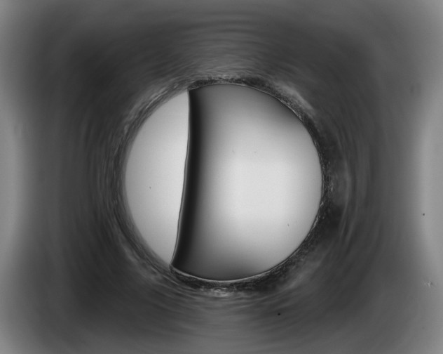 X0000085220635200703090829