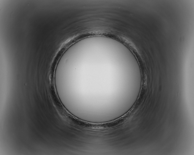 X0000085220636200703090829