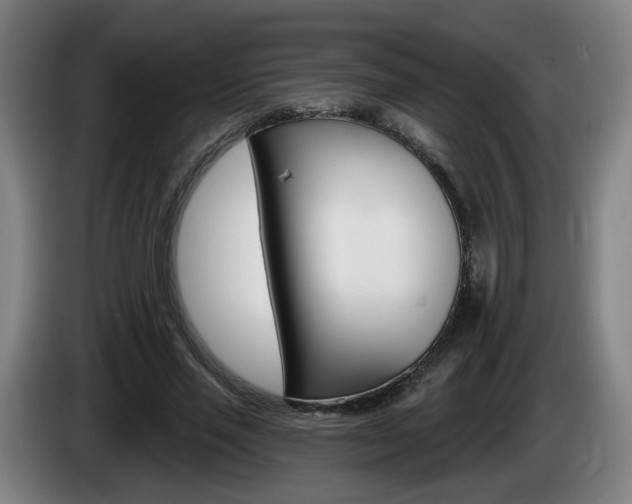 X0000085220637200703090829