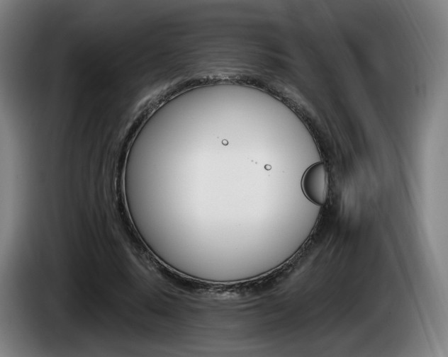 X0000085220640200703090829