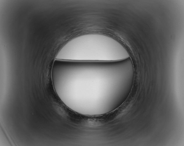 X0000085220641200703090829