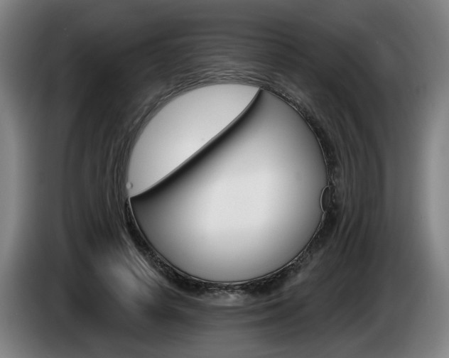 X0000085220642200703090829