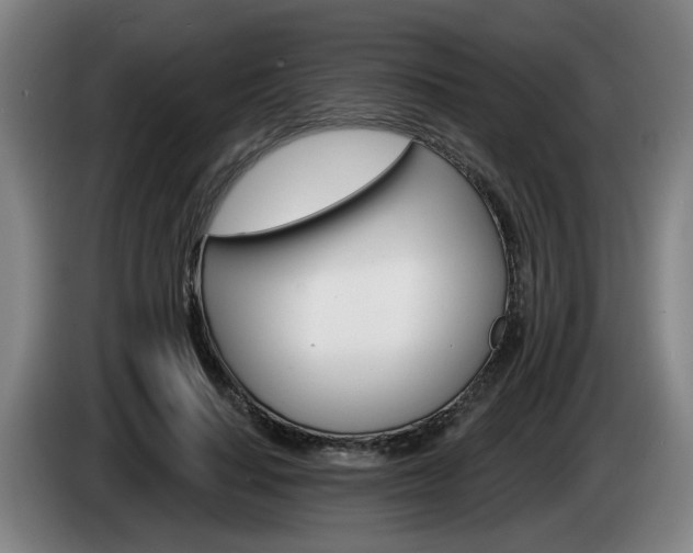 X0000085220644200703090829