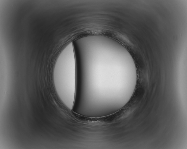 X0000085220645200703090829