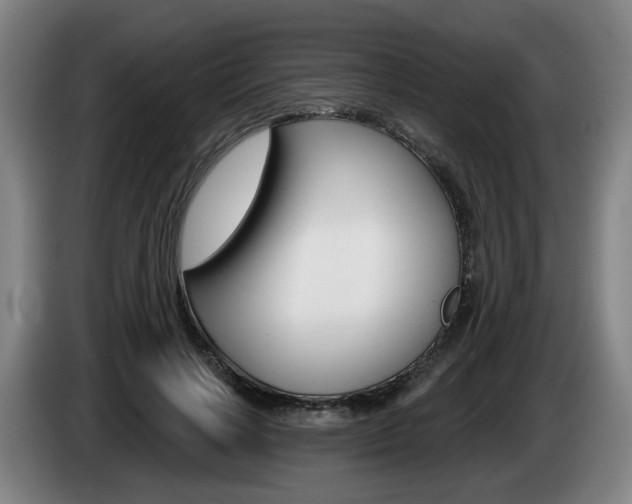X0000085220646200703090829