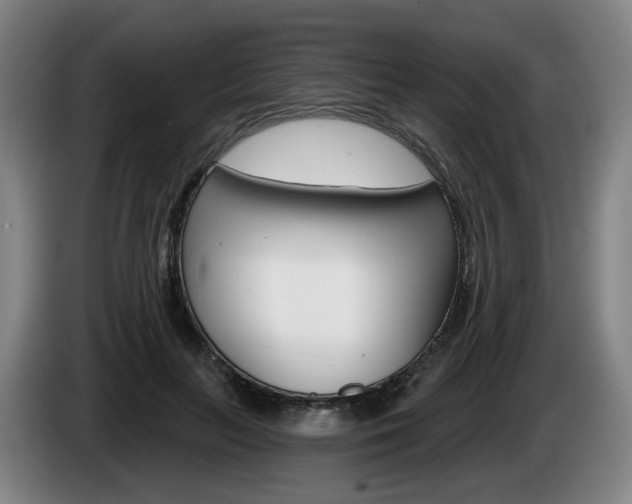 X0000085220647200703090829