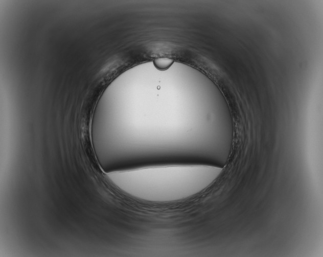 X0000085220648200703090829