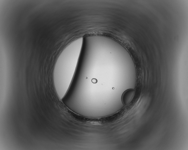 X0000085220649200703090829