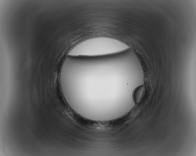 X0000085220660200703090829