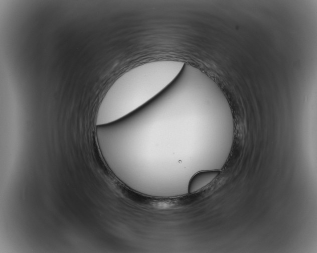X0000085220662200703090829