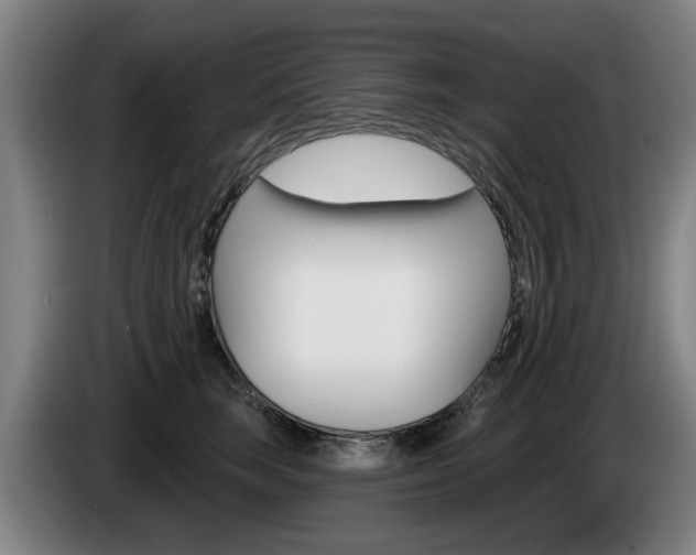 X0000085220663200703090829