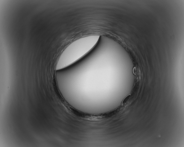 X0000085220664200703090829