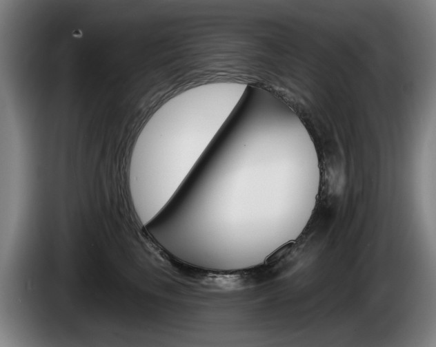 X0000085220665200703090829
