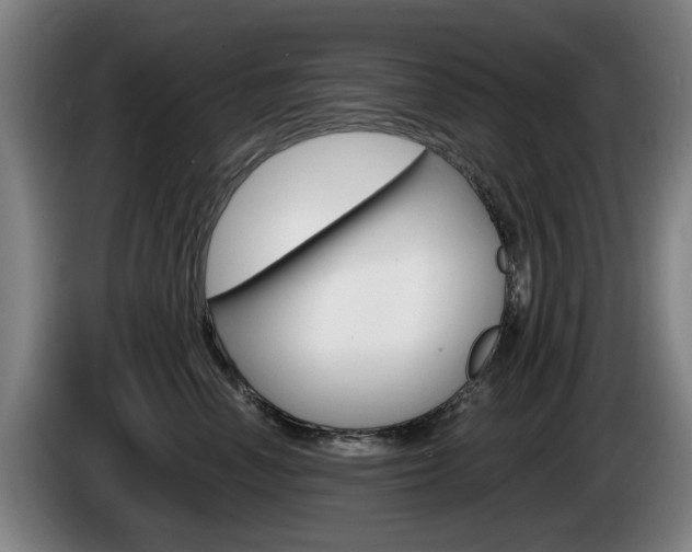 X0000085220666200703090829