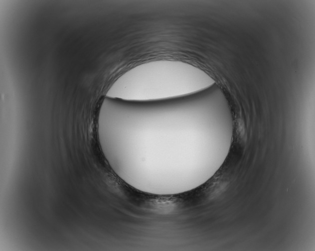 X0000085220668200703090829