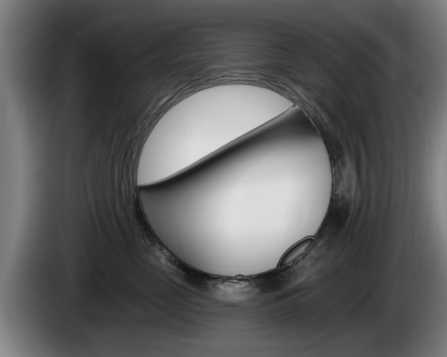X0000085220669200703090829