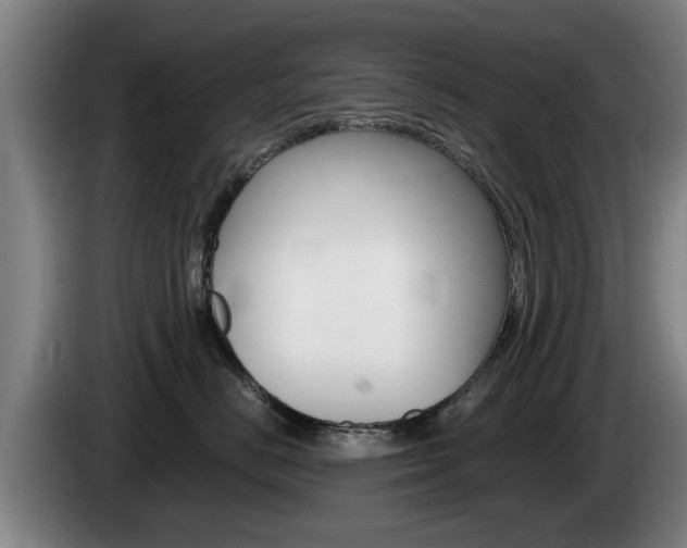 X0000085220670200703090829