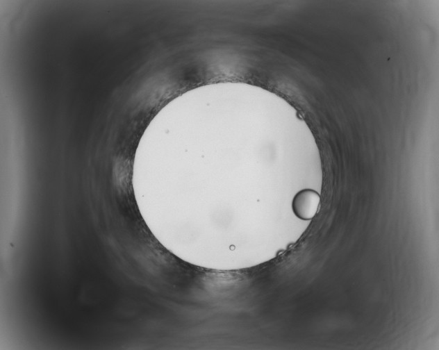 X0000085220672200703090829