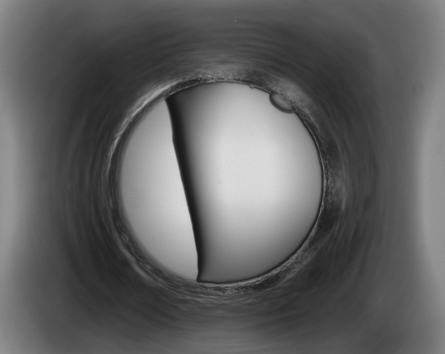 X0000085220674200703090828