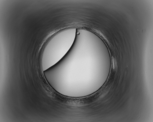 X0000085220675200703090828