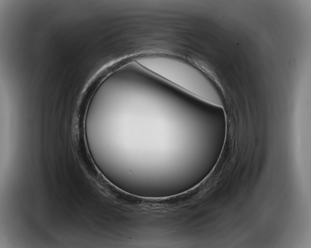 X0000085220676200703090828