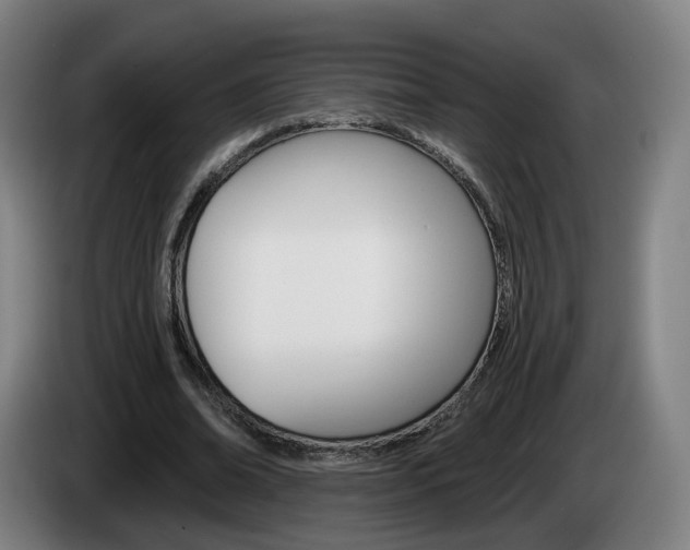 X0000085220678200703090828