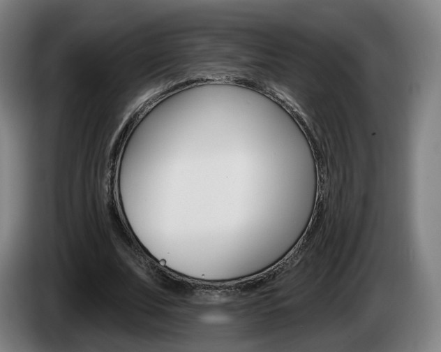 X0000085220679200703090828