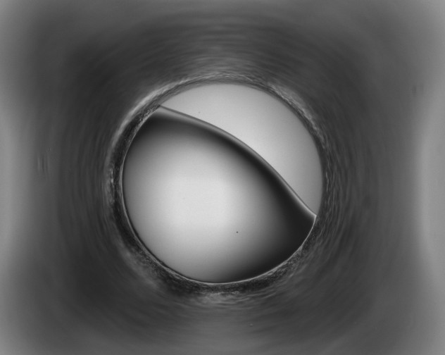 X0000085220680200703090828