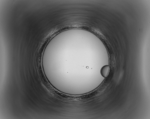 X0000085220683200703090828