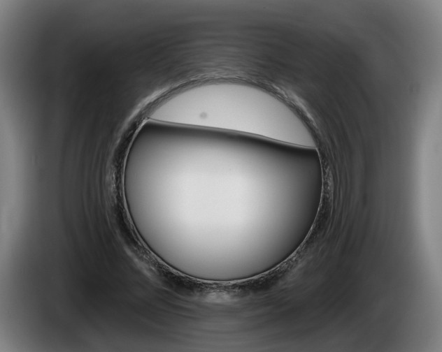X0000085220684200703090828