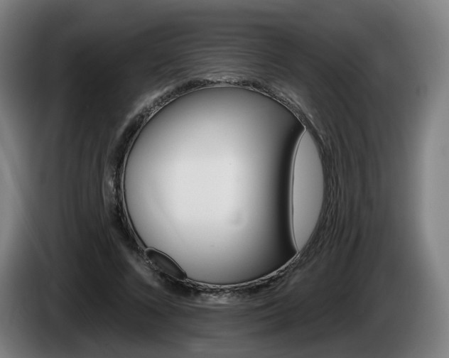 X0000085220688200703090828