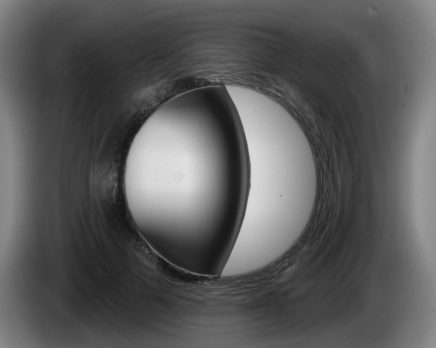 X0000085220697200703090828