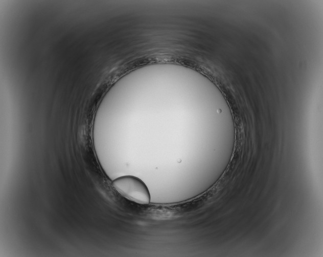 X0000085220698200703090828
