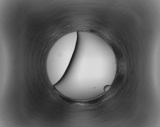 X0000085220699200703090828